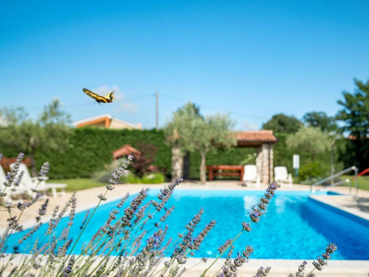 Holiday Home Tommy By Interhome Gedići Buitenkant foto